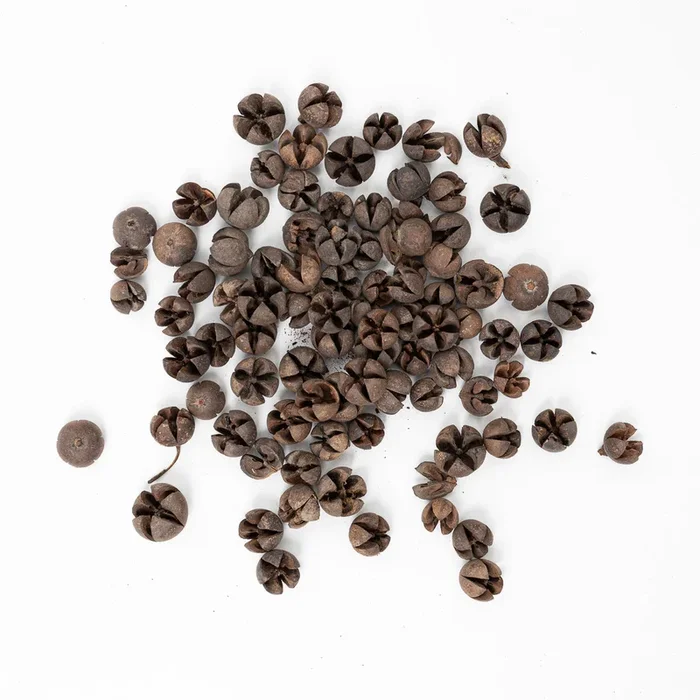 Wallichi Pods (100g)