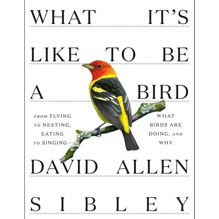 What It’s Like to Be a Bird