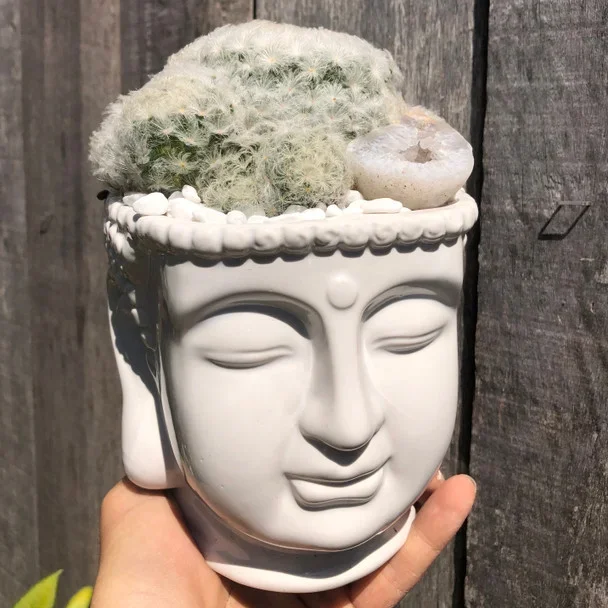 White Buddha Head Planter Large