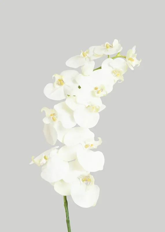 White Cream Artificial Phalaenopsis Orchids – 39″