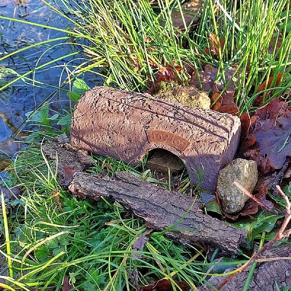 Wildlife World Simon King Frog Log