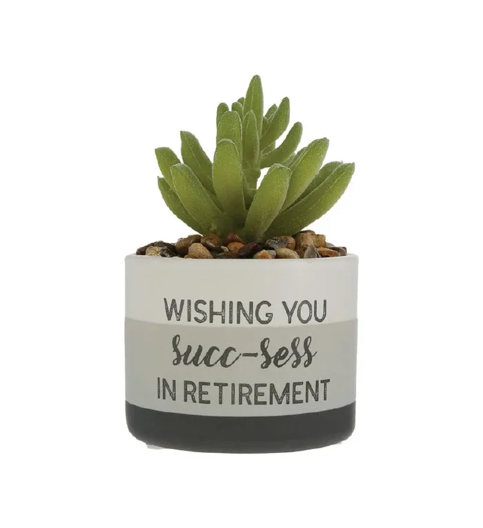 “Wishing You Succ-ess in Retirement” Faux Succulent