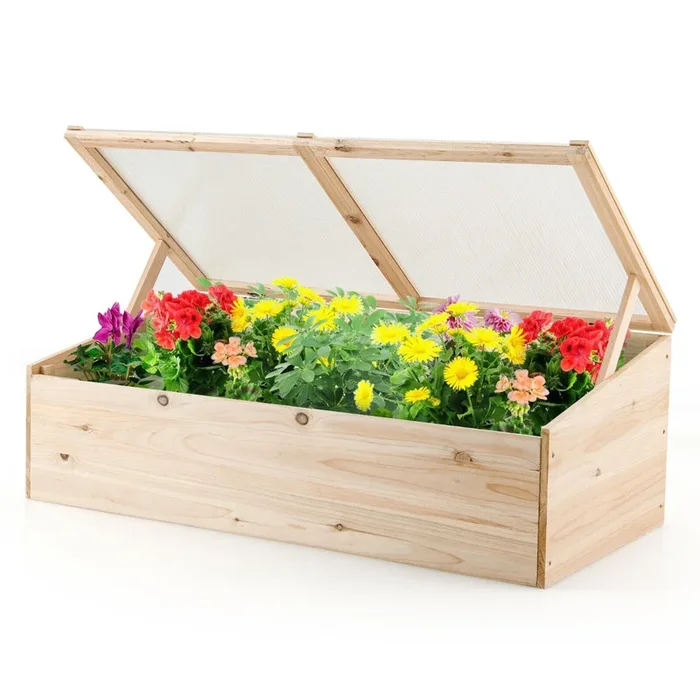 Wooden Plant Stand with Clear Cover – Display Stand with Supporting Rods for Plants – Ideal for Showcasing Indoor Plant Arrangements