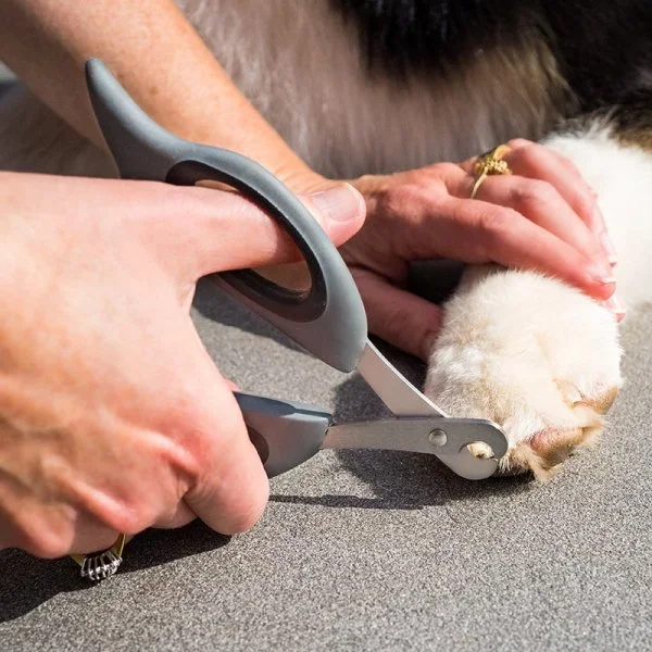 Zoon Dog Grooming Claw Scissors