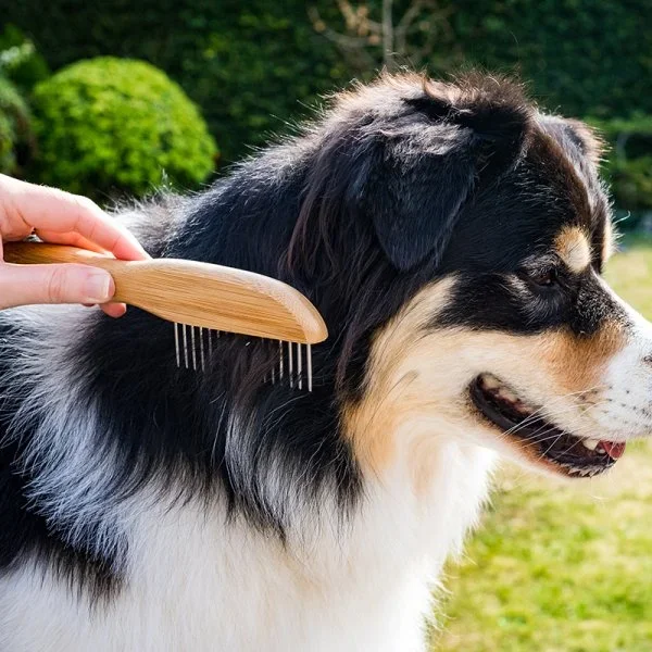 Zoon Dog Grooming Wide Tooth Rotating Rake